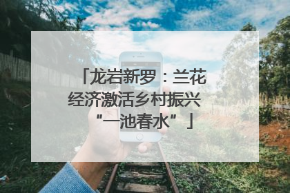 龙岩新罗：兰花经济激活乡村振兴“一池春水”