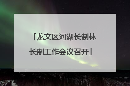 龙文区河湖长制林长制工作会议召开