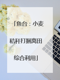 鱼台：小麦秸秆打捆离田综合利用
