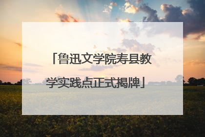鲁迅文学院寿县教学实践点正式揭牌
