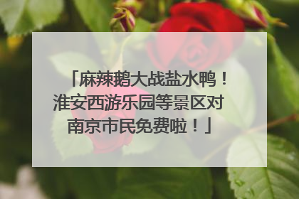 麻辣鹅大战盐水鸭！淮安西游乐园等景区对南京市民免费啦！