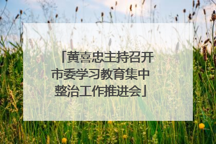 黄喜忠主持召开市委学习教育集中整治工作推进会