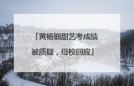 黄杨钿甜艺考成绩被质疑，母校回应