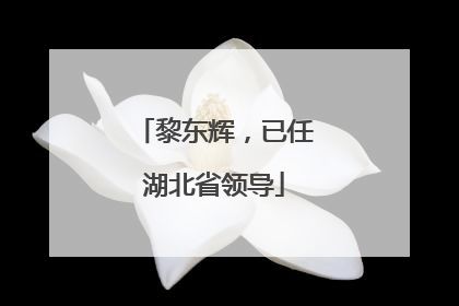 黎东辉，已任湖北省领导
