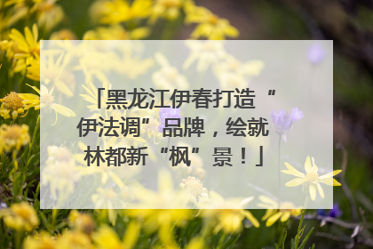 黑龙江伊春打造“伊法调”品牌，绘就林都新“枫”景！