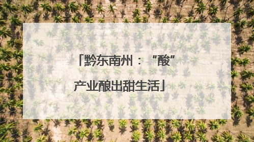 黔东南州：“酸”产业酿出甜生活