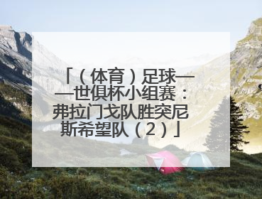 （体育）足球——世俱杯小组赛：弗拉门戈队胜突尼斯希望队（2）