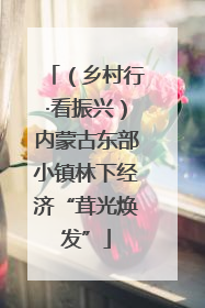 （乡村行·看振兴）内蒙古东部小镇林下经济“茸光焕发”