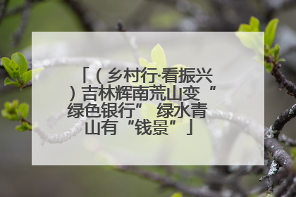 （乡村行·看振兴）吉林辉南荒山变“绿色银行” 绿水青山有“钱景”