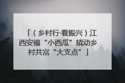 （乡村行·看振兴）江西安福“小西瓜”撬动乡村共富“大支点”