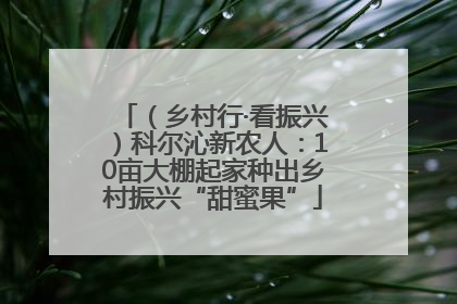 （乡村行·看振兴）科尔沁新农人：10亩大棚起家种出乡村振兴“甜蜜果”