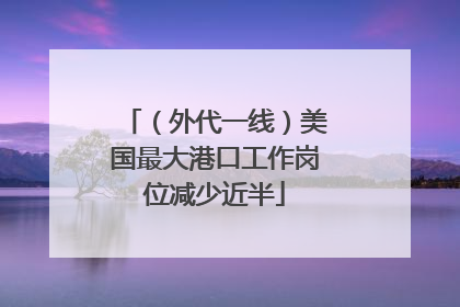 （外代一线）美国最大港口工作岗位减少近半