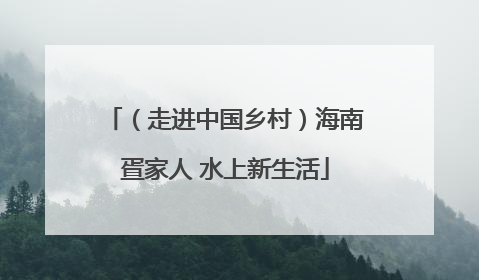 （走进中国乡村）海南疍家人 水上新生活