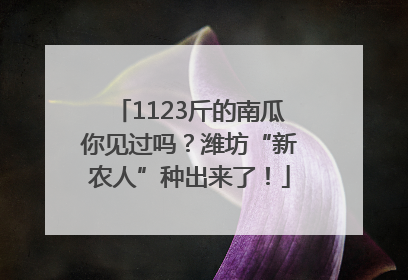 1123斤的南瓜你见过吗？潍坊“新农人”种出来了！