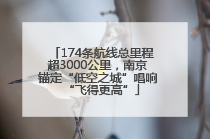 174条航线总里程超3000公里，南京锚定“低空之城”唱响“飞得更高”