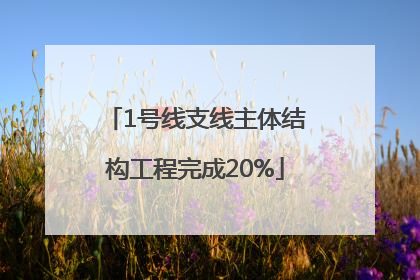 1号线支线主体结构工程完成20%