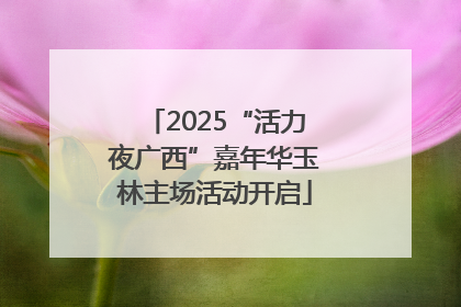 2025“活力夜广西”嘉年华玉林主场活动开启