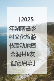 2025年湖南省乡村文化旅游节联动地暨金洞村k友谊赛启幕
