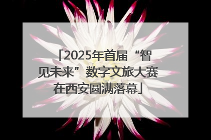 2025年首届“智见未来”数字文旅大赛在西安圆满落幕