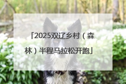 2025双辽乡村（森林）半程马拉松开跑