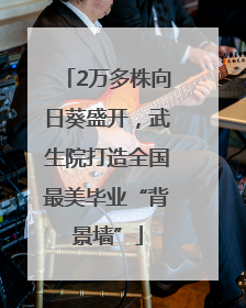 2万多株向日葵盛开，武生院打造全国最美毕业“背景墙”