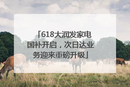 618大润发家电国补开启，次日达业务迎来重磅升级
