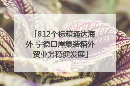 812个标箱通达海外 宁德口岸集装箱外贸业务稳健发展