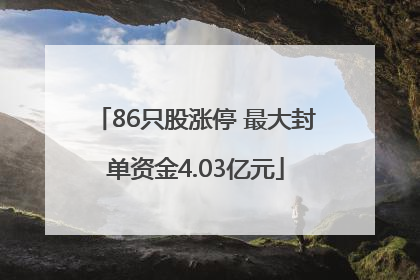 86只股涨停 最大封单资金4.03亿元