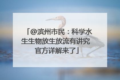 @滨州市民：科学水生生物放生放流有讲究 官方详解来了