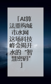 AI算法重构城市水网 这场科技峰会揭开水的“智慧密码”